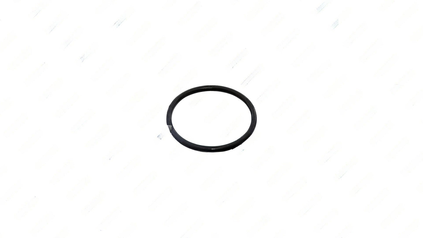 Oring | Volvo OEM 975697
