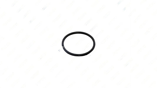 Oring | Volvo OEM 975697