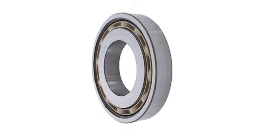 Roller Bearing | Volvo OEM 21170624