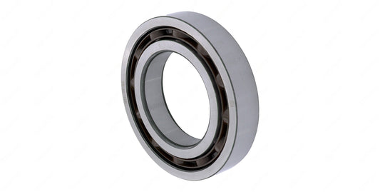 Roller Bearing | Volvo OEM 21005761