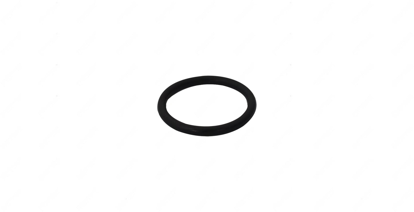 O-Ring (25X31X3) 1521976 -1521587 | Volvo OEM 977005