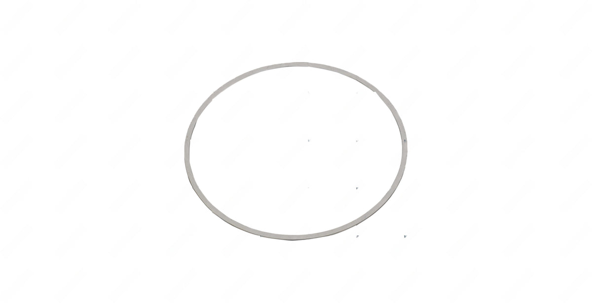 Shim (130.2X137X0.15Mm) | DT12 OEM 389 262 3652