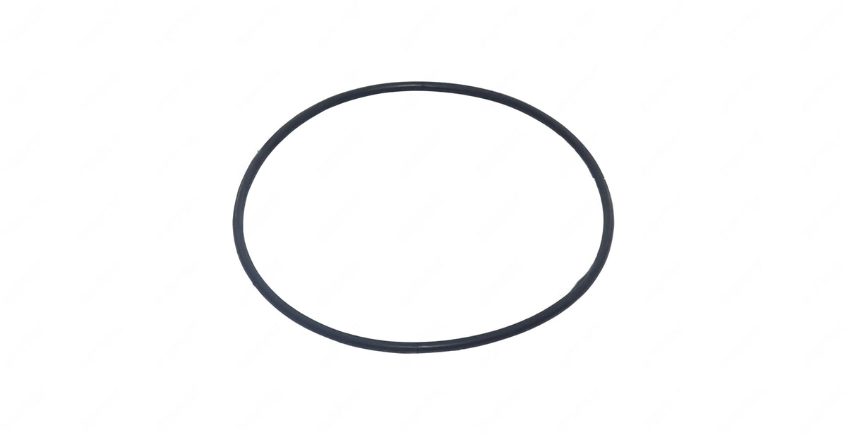 O-Ring (100.0X3.0Mm) | DT12 OEM 028 997 2348