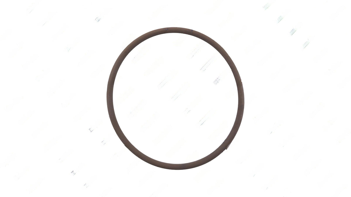 O-Ring (55.6X3Mm) | DT12 OEM 022 997 4248