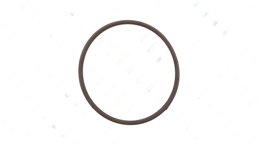 O-Ring (55.6X3Mm) | DT12 OEM 022 997 4248