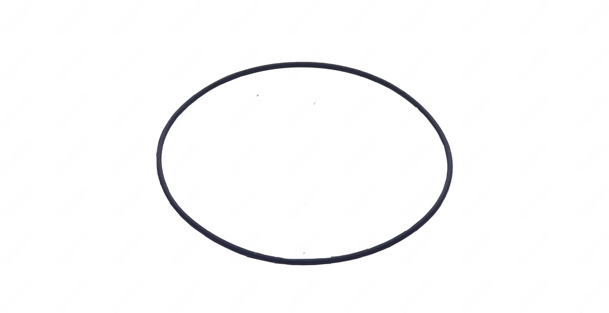 O-Ring (138X3) | DT12 OEM 020 997 7848