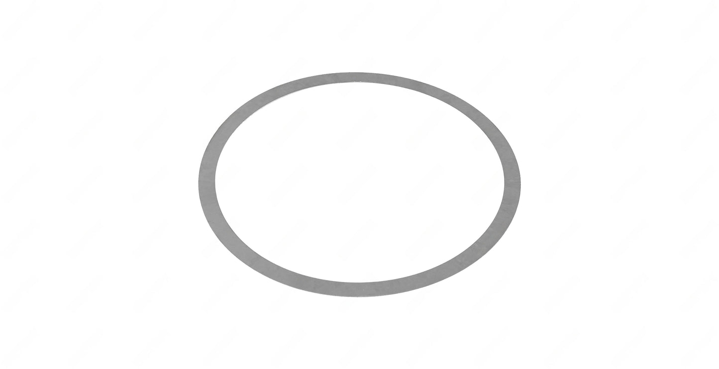 Shim (125X139.8X0.25Mm) | DT12 OEM 389 262 3055